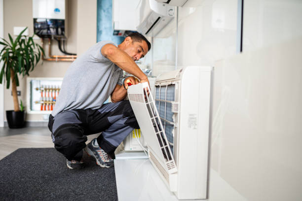 Best Air Duct Sanitizing Services  in Hickory Hls, IL